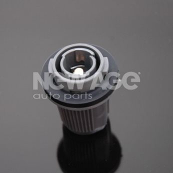 OPRAWKA ZAR. KIER. PRZ. PN CARO P21W