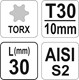 KLUCZ SPECJALNY TORX T30X30 S2